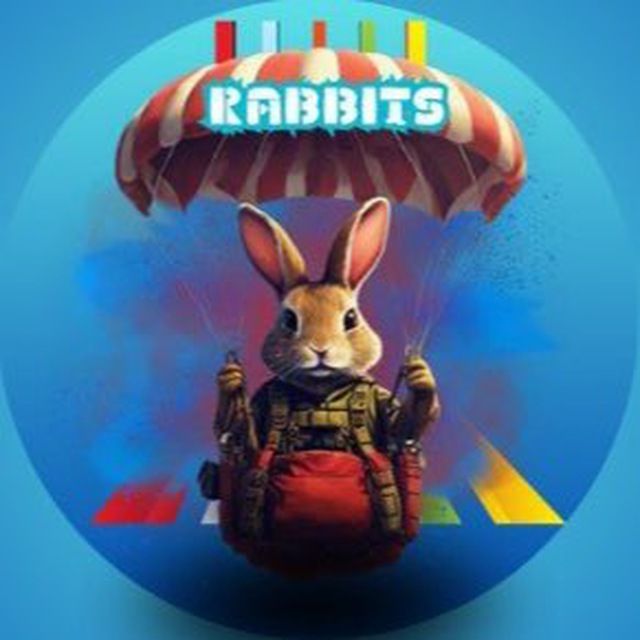Rabbit Announcement 🐰