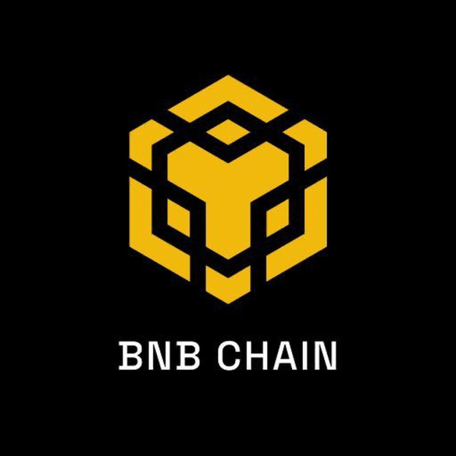 BNB Chain icon