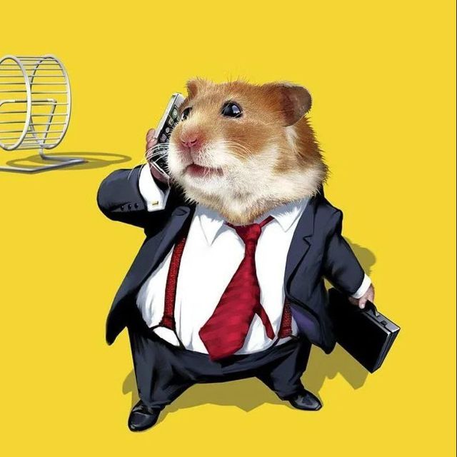 Хомяк инвестирует