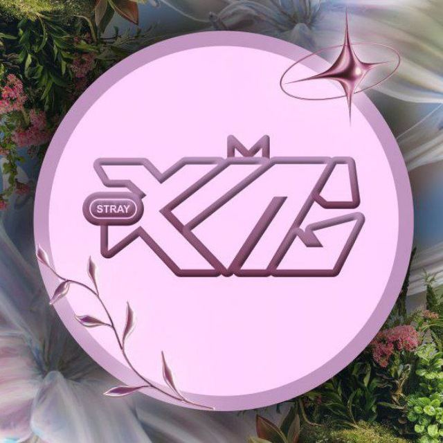 королевство stray kids 🌸