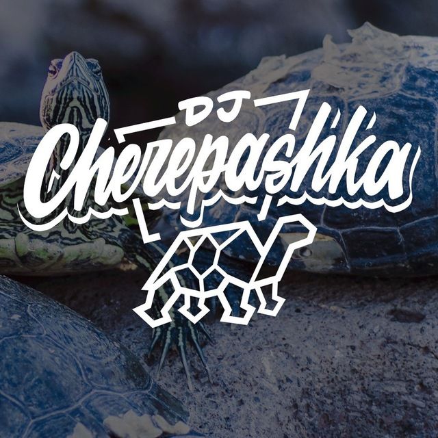 dj cherepashka