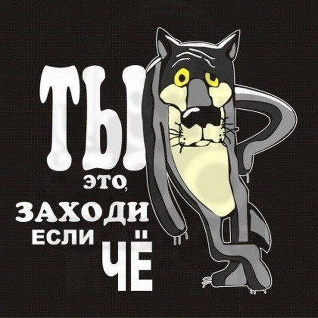 ВИДЕО|ПРИКОЛЫ|АНЕКДОТЫ