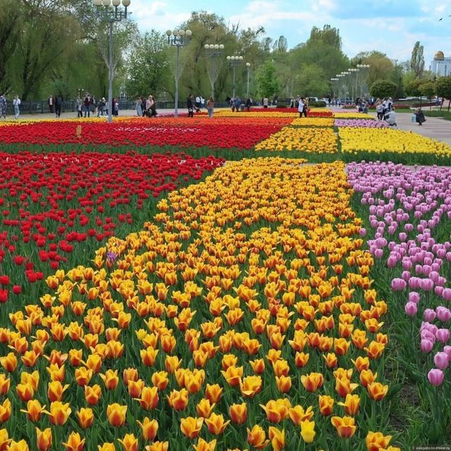 Белгород