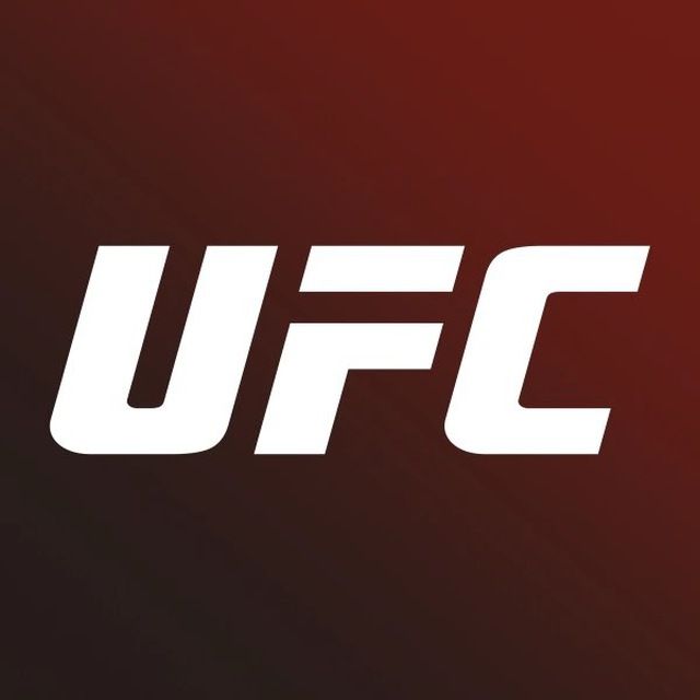 UFC 💪