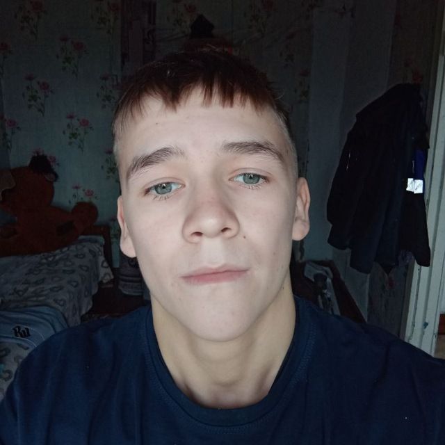 Shark_OFFICIAL