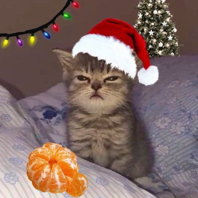 люблю