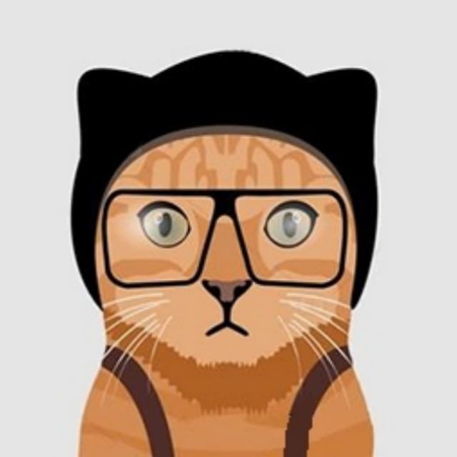 ООО "Котики"