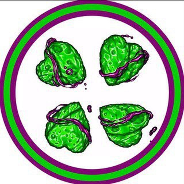 tor4chan🍀