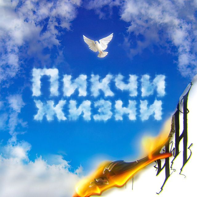 пикчи жизни