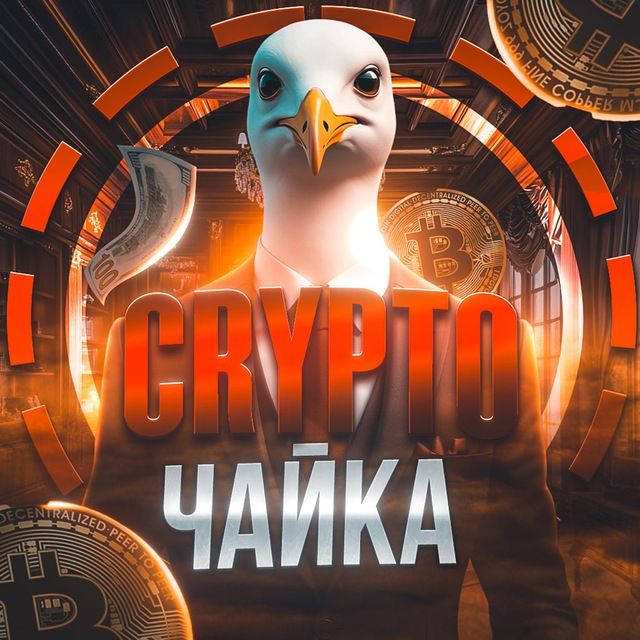 Crypto Чайка