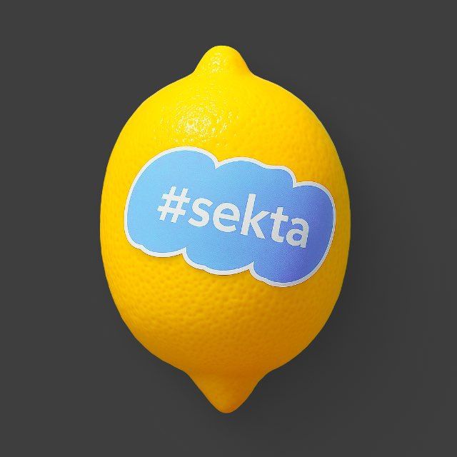 sektaschool