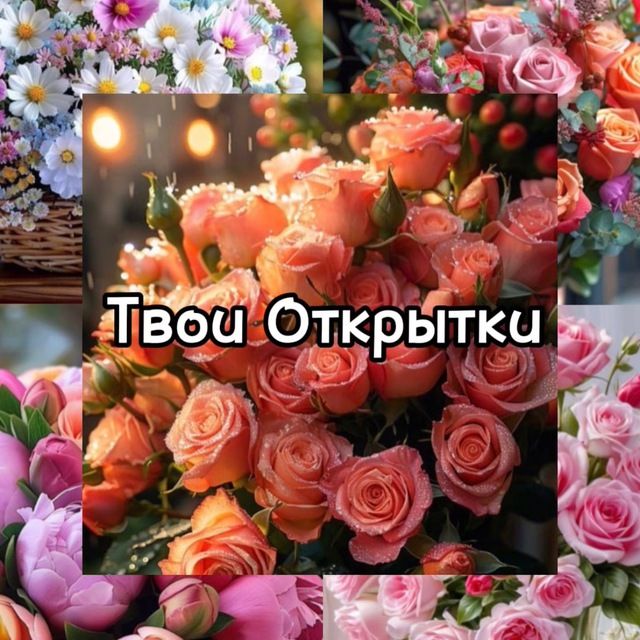 Твои Открытки