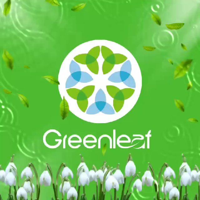 GREENLEAF FAMILY