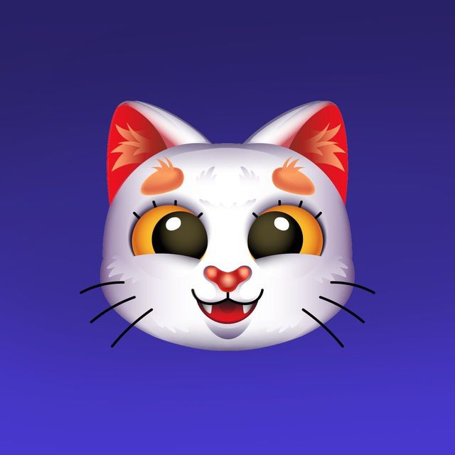 Tomo cat