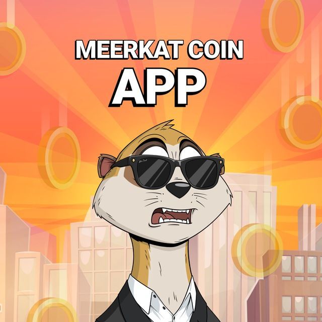 Meerkat Coin App
