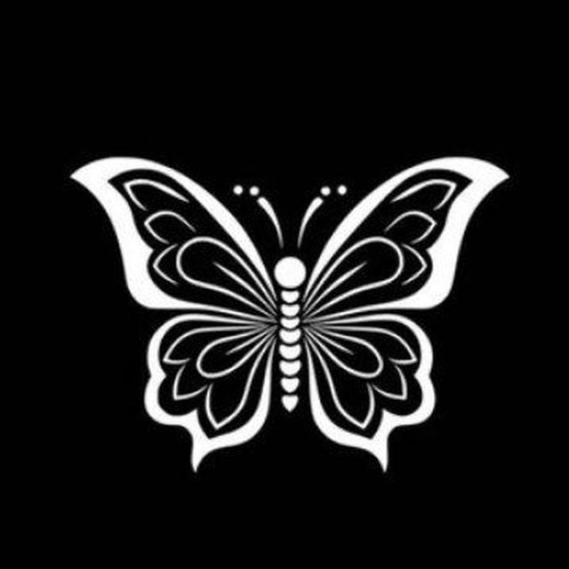 Butterflys 🦋 icon