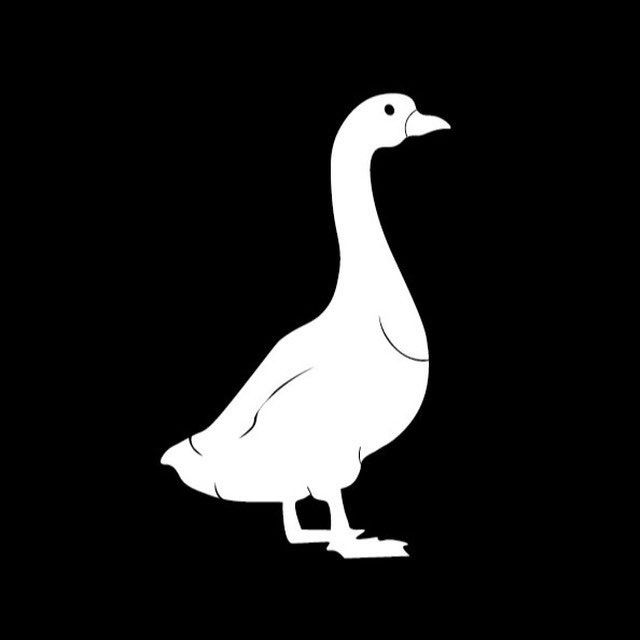 Fast Goose 🪿